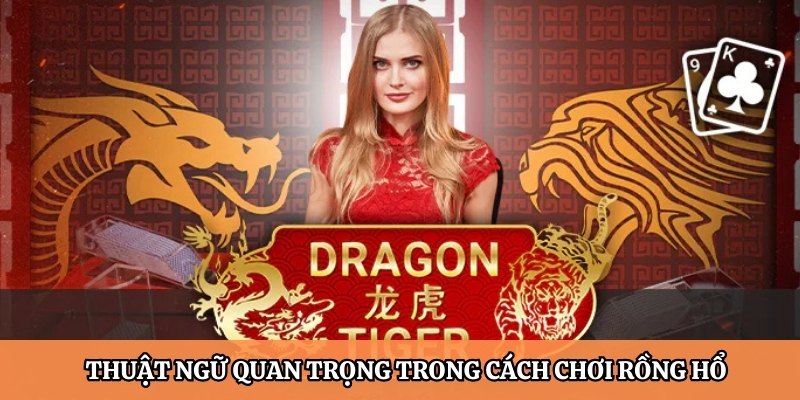 Thuật ngữ đặc biệt trong cách chơi Rồng Hổ