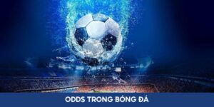 odds trong bóng đá ảnh đại diện