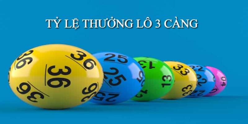 3 càng có xác suất về thấp nhưng tỷ lệ thưởng cao vượt trội