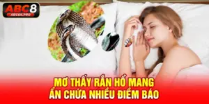 mơ thấy rắn hổ mang ẩn chứa nhiều điềm báo