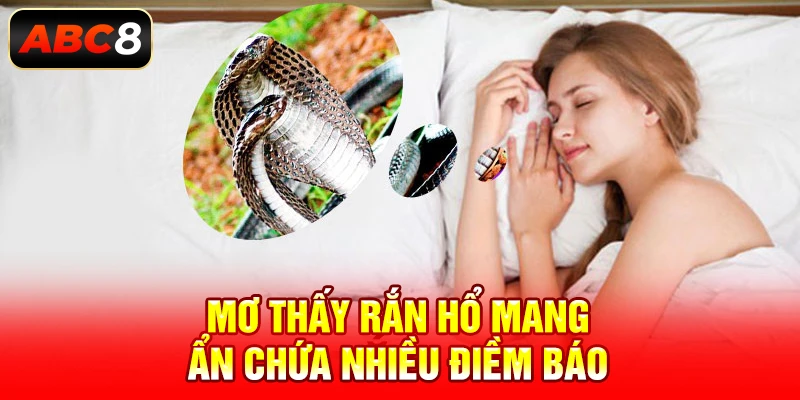 mơ thấy rắn hổ mang ẩn chứa nhiều điềm báo 